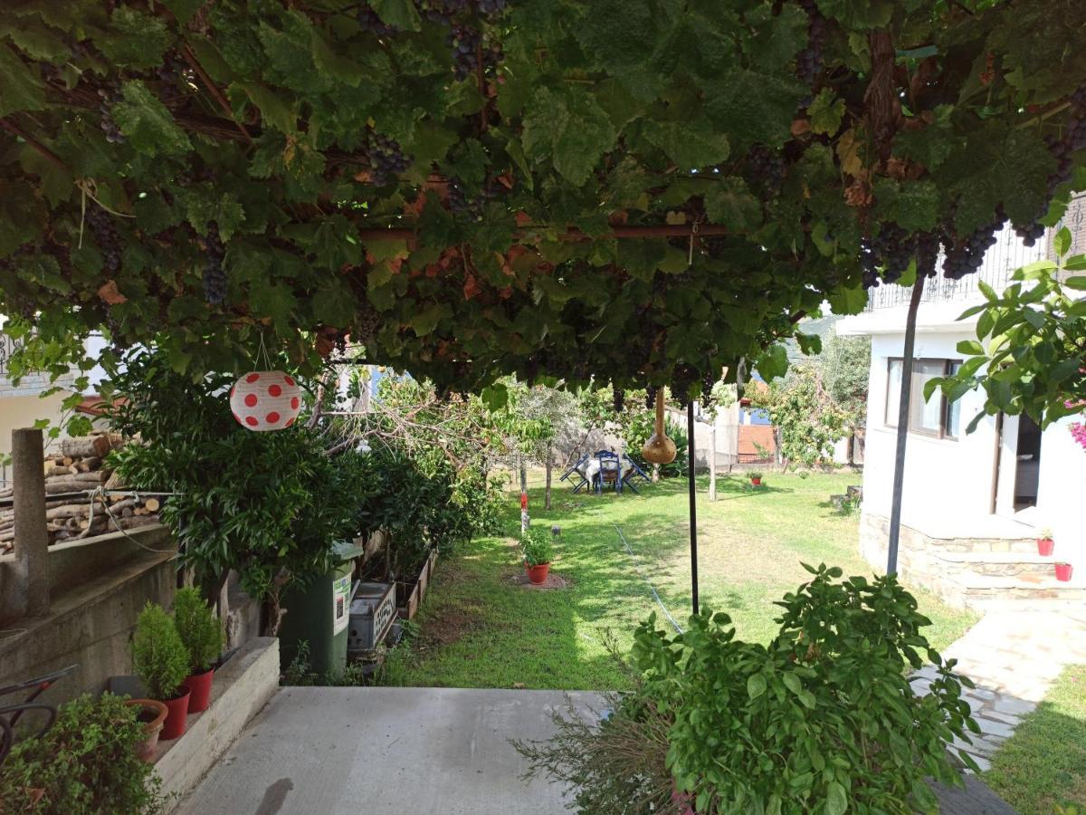 Dora'S House Comfortable Apartment With A Yard And View Pyrgadikia Eksteriør bilde
